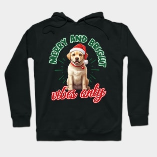 Merry and bright vibes only Hoodie